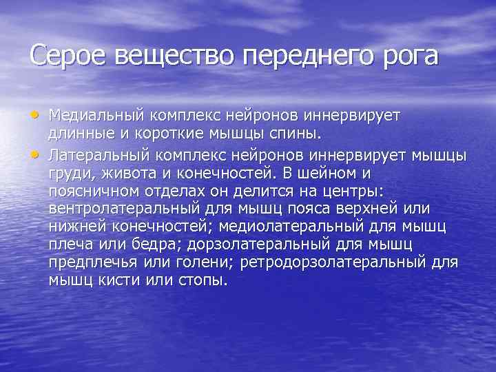 Серое вещество переднего рога • Медиальный комплекс нейронов иннервирует • длинные и короткие мышцы