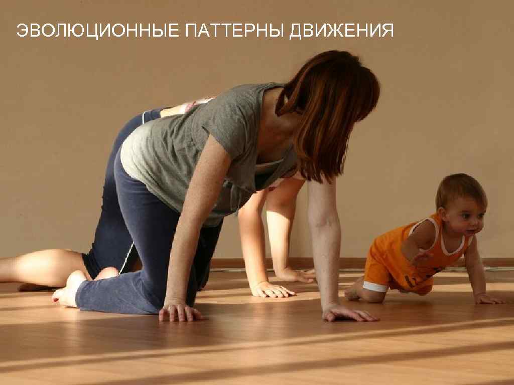 ЭВОЛЮЦИОННЫЕ ПАТТЕРНЫ ДВИЖЕНИЯ 