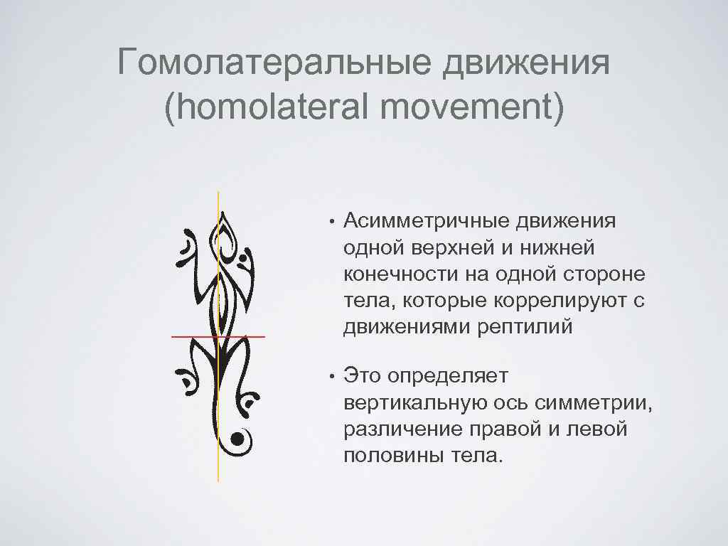 Гомолатеральные движения (homolateral movement) • Асимметричные движения одной верхней и нижней конечности на одной