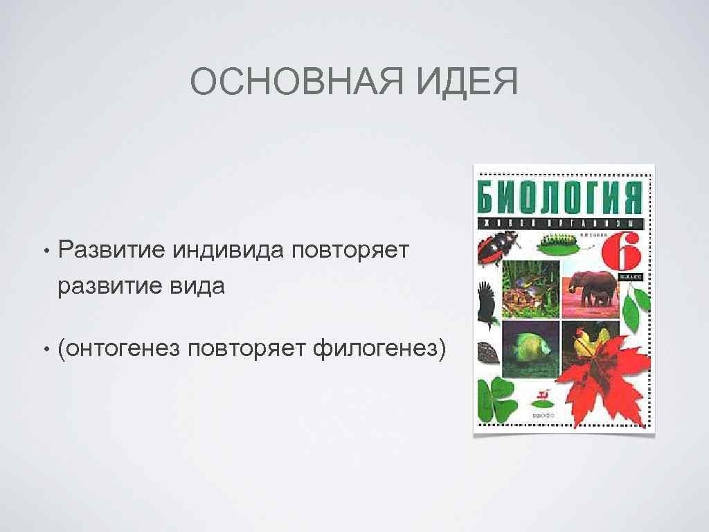 ОСНОВНАЯ ИДЕЯ • Развитие индивида повторяет развитие вида • (онтогенез повторяет филогенез) 