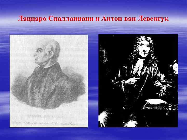 Лаццаро Спалланцани и Антон ван Левенгук 
