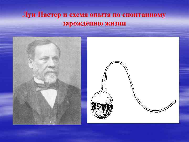 Луи Пастер и схема опыта по спонтанному зарождению жизни 