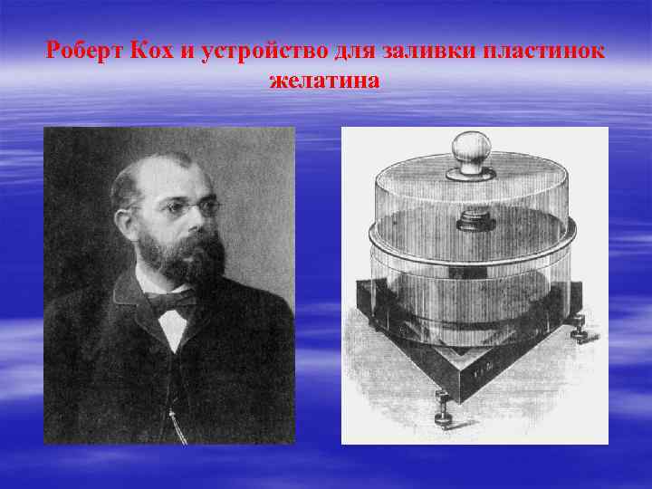 Роберт Кох и устройство для заливки пластинок желатина 
