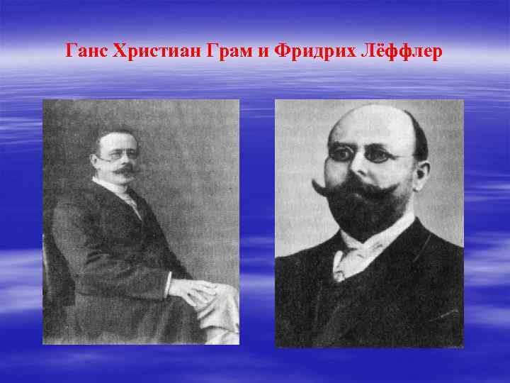Ганс Христиан Грам и Фридрих Лёффлер 