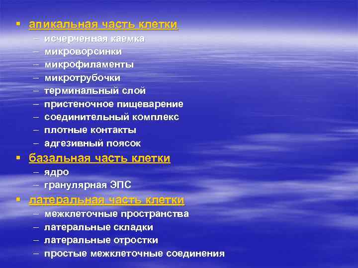 § апикальная часть клетки – – – – – исчерченная каемка микроворсинки микрофиламенты микротрубочки