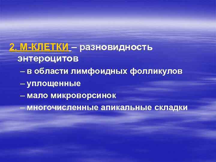 2. М-КЛЕТКИ – разновидность энтероцитов – в области лимфоидных фолликулов – уплощенные – мало