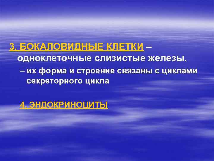 3. БОКАЛОВИДНЫЕ КЛЕТКИ – одноклеточные слизистые железы. – их форма и строение связаны с