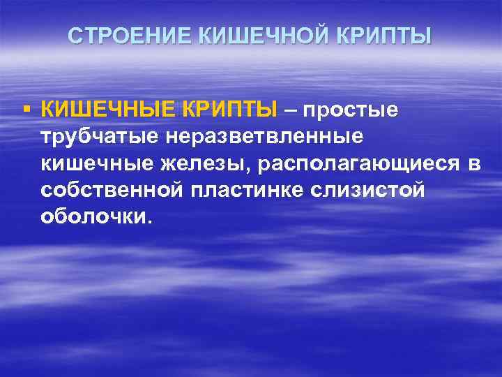 СТРОЕНИЕ КИШЕЧНОЙ КРИПТЫ § КИШЕЧНЫЕ КРИПТЫ – простые трубчатые неразветвленные кишечные железы, располагающиеся в