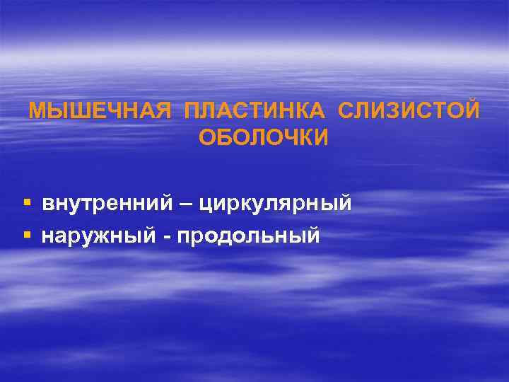 МЫШЕЧНАЯ ПЛАСТИНКА СЛИЗИСТОЙ ОБОЛОЧКИ § внутренний – циркулярный § наружный - продольный 