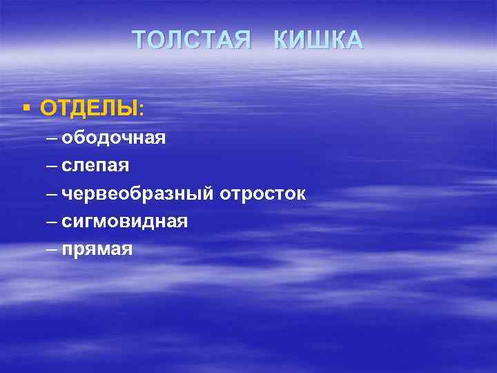 ТОЛСТАЯ КИШКА § ОТДЕЛЫ: – ободочная – слепая – червеобразный отросток – сигмовидная –