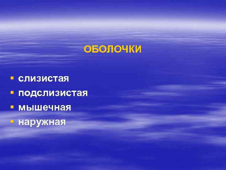 ОБОЛОЧКИ § § слизистая подслизистая мышечная наружная 