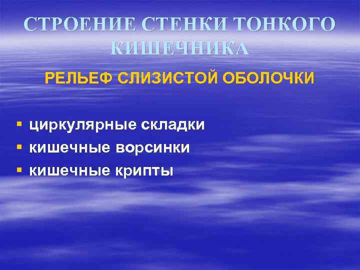 СТРОЕНИЕ СТЕНКИ ТОНКОГО КИШЕЧНИКА РЕЛЬЕФ СЛИЗИСТОЙ ОБОЛОЧКИ § § § циркулярные складки кишечные ворсинки