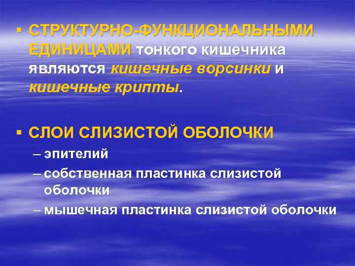 § СТРУКТУРНО-ФУНКЦИОНАЛЬНЫМИ ЕДИНИЦАМИ тонкого кишечника являются кишечные ворсинки и кишечные крипты. § СЛОИ СЛИЗИСТОЙ