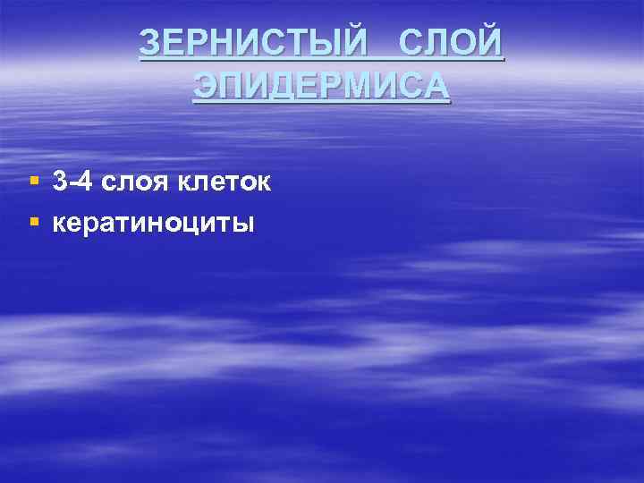 ЗЕРНИСТЫЙ СЛОЙ ЭПИДЕРМИСА § 3 -4 слоя клеток § кератиноциты 