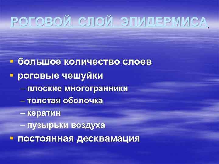 РОГОВОЙ СЛОЙ ЭПИДЕРМИСА § большое количество слоев § роговые чешуйки – плоские многогранники –