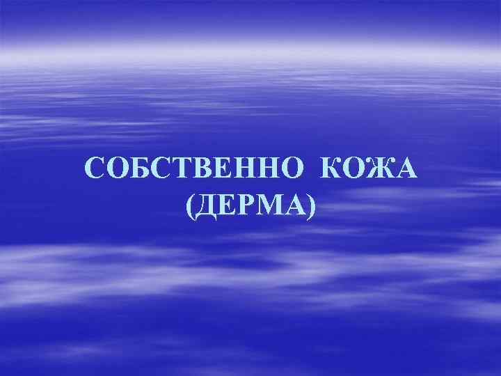 СОБСТВЕННО КОЖА (ДЕРМА) 