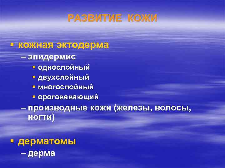РАЗВИТИЕ КОЖИ § кожная эктодерма – эпидермис § однослойный § двухслойный § многослойный §