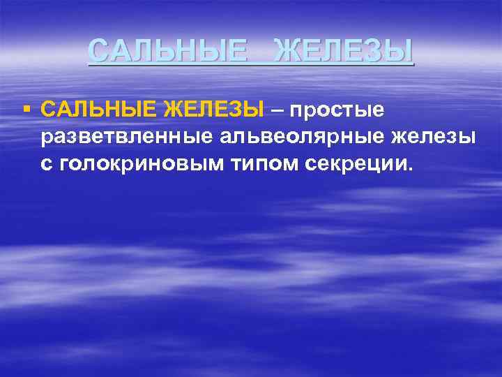 САЛЬНЫЕ ЖЕЛЕЗЫ § САЛЬНЫЕ ЖЕЛЕЗЫ – простые разветвленные альвеолярные железы с голокриновым типом секреции.