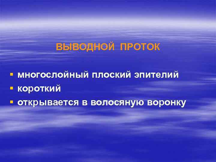 ВЫВОДНОЙ ПРОТОК § § § многослойный плоский эпителий короткий открывается в волосяную воронку 