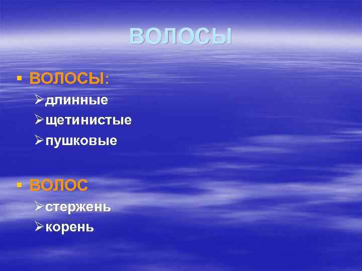 ВОЛОСЫ § ВОЛОСЫ: Øдлинные Øщетинистые Øпушковые § ВОЛОС Øстержень Øкорень 