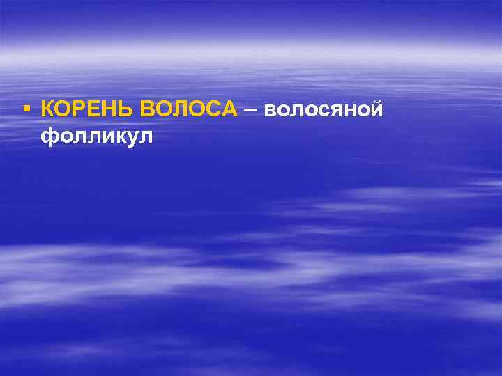 § КОРЕНЬ ВОЛОСА – волосяной фолликул 