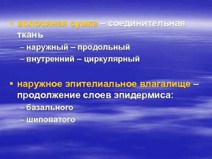 § волосяная сумка – соединительная ткань – наружный – продольный – внутренний – циркулярный
