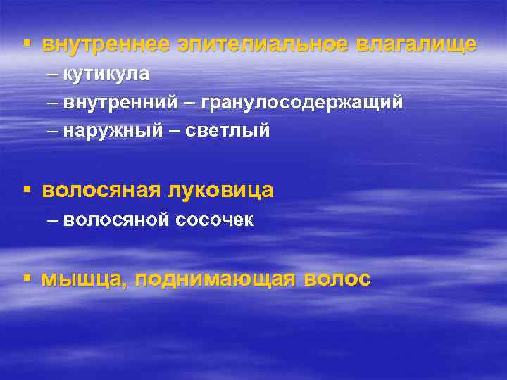 § внутреннее эпителиальное влагалище – кутикула – внутренний – гранулосодержащий – наружный – светлый