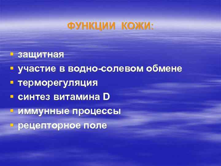 ФУНКЦИИ КОЖИ: § § § защитная участие в водно-солевом обмене терморегуляция синтез витамина D