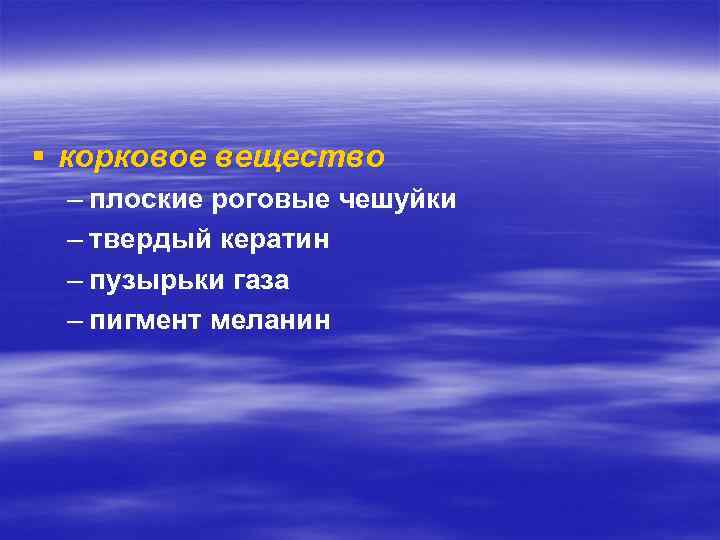 § корковое вещество – плоские роговые чешуйки – твердый кератин – пузырьки газа –