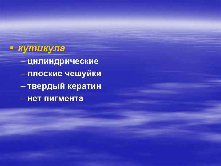 § кутикула – цилиндрические – плоские чешуйки – твердый кератин – нет пигмента 