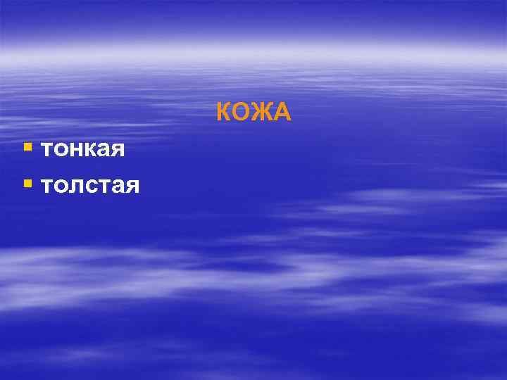 КОЖА § тонкая § толстая 