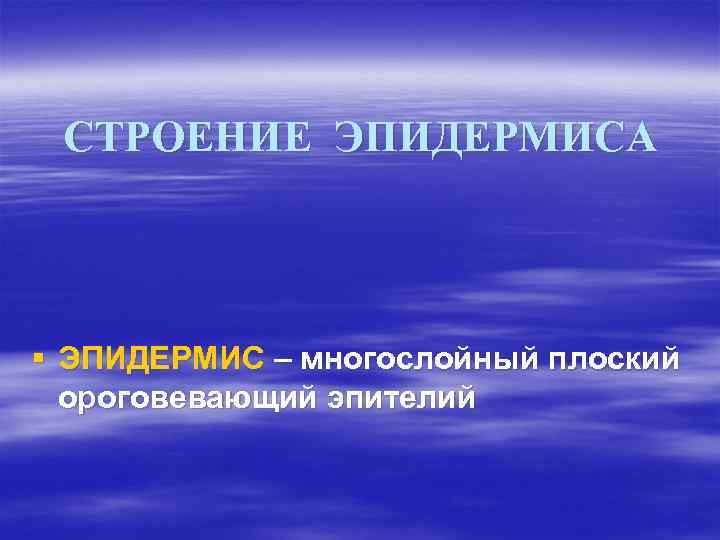 СТРОЕНИЕ ЭПИДЕРМИСА § ЭПИДЕРМИС – многослойный плоский ороговевающий эпителий 