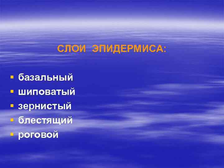СЛОИ ЭПИДЕРМИСА: § § § базальный шиповатый зернистый блестящий роговой 