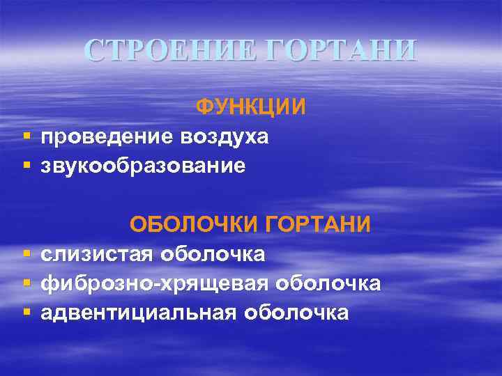 СТРОЕНИЕ ГОРТАНИ ФУНКЦИИ § проведение воздуха § звукообразование § § § ОБОЛОЧКИ ГОРТАНИ слизистая