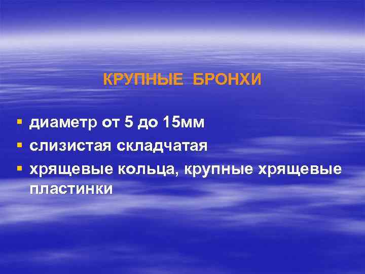 КРУПНЫЕ БРОНХИ § § § диаметр от 5 до 15 мм слизистая складчатая хрящевые