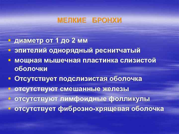 МЕЛКИЕ БРОНХИ § § § § диаметр от 1 до 2 мм эпителий однорядный