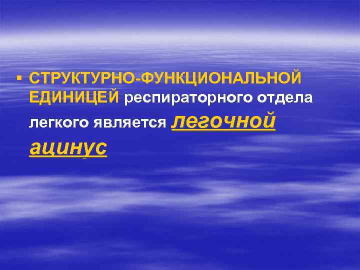 § СТРУКТУРНО-ФУНКЦИОНАЛЬНОЙ ЕДИНИЦЕЙ респираторного отдела легкого является легочной ацинус 