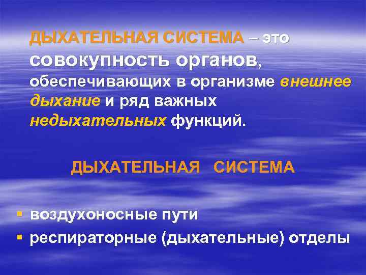 ДЫХАТЕЛЬНАЯ СИСТЕМА – это совокупность органов, обеспечивающих в организме внешнее дыхание и ряд важных