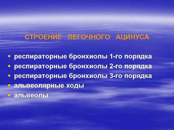 СТРОЕНИЕ ЛЕГОЧНОГО АЦИНУСА § § § респираторные бронхиолы 1 -го порядка респираторные бронхиолы 2