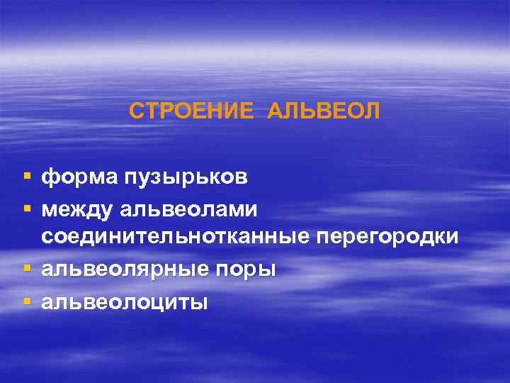 СТРОЕНИЕ АЛЬВЕОЛ § форма пузырьков § между альвеолами соединительнотканные перегородки § альвеолярные поры §