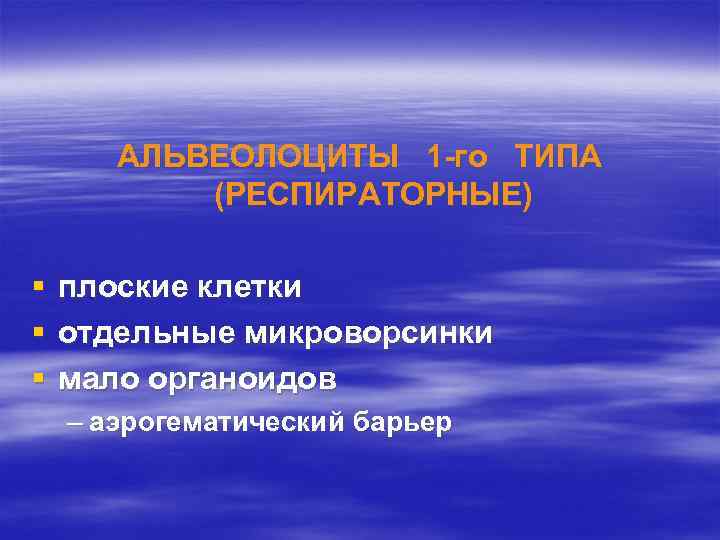 АЛЬВЕОЛОЦИТЫ 1 -го ТИПА (РЕСПИРАТОРНЫЕ) § § § плоские клетки отдельные микроворсинки мало органоидов