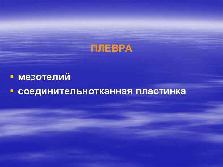 ПЛЕВРА § мезотелий § соединительнотканная пластинка 