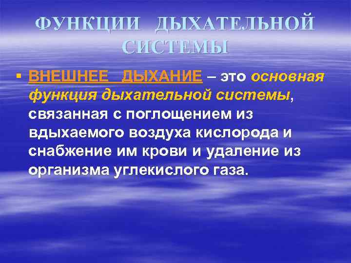ФУНКЦИИ ДЫХАТЕЛЬНОЙ СИСТЕМЫ § ВНЕШНЕЕ ДЫХАНИЕ – это основная функция дыхательной системы, связанная с