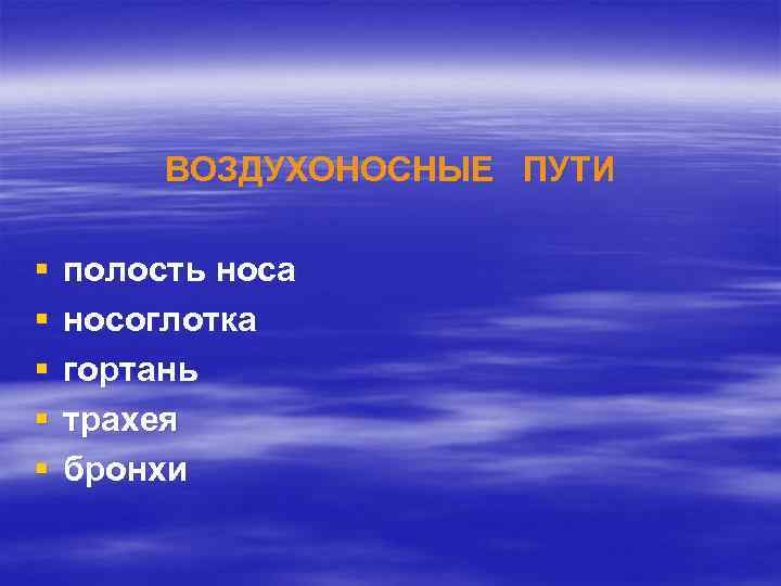 ВОЗДУХОНОСНЫЕ ПУТИ § § § полость носа носоглотка гортань трахея бронхи 