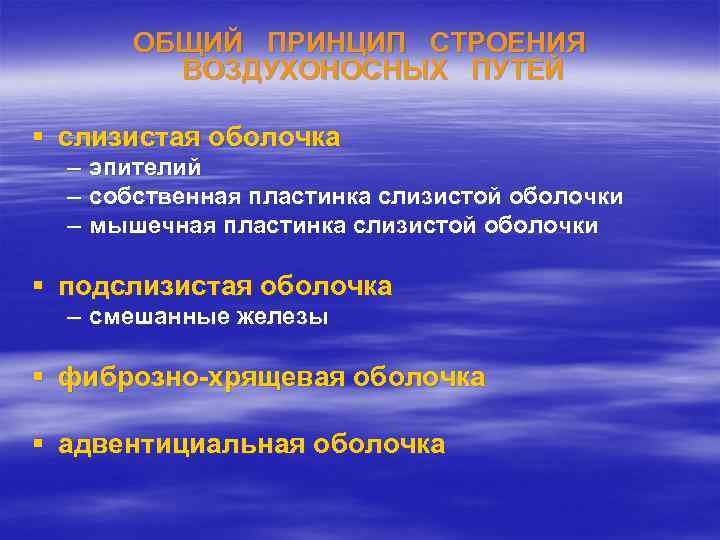 ОБЩИЙ ПРИНЦИП СТРОЕНИЯ ВОЗДУХОНОСНЫХ ПУТЕЙ § слизистая оболочка – – – эпителий собственная пластинка
