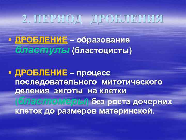 2. ПЕРИОД ДРОБЛЕНИЯ § ДРОБЛЕНИЕ – образование бластулы (бластоцисты) § ДРОБЛЕНИЕ – процесс последовательного