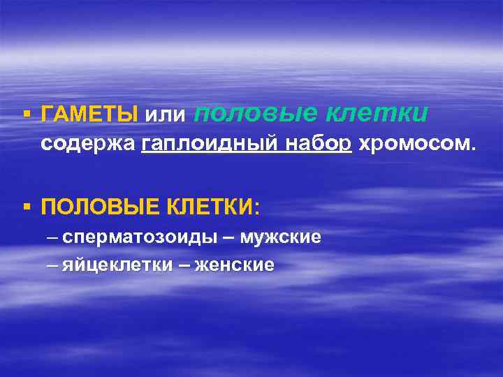 § ГАМЕТЫ или половые клетки содержа гаплоидный набор хромосом. § ПОЛОВЫЕ КЛЕТКИ: – сперматозоиды
