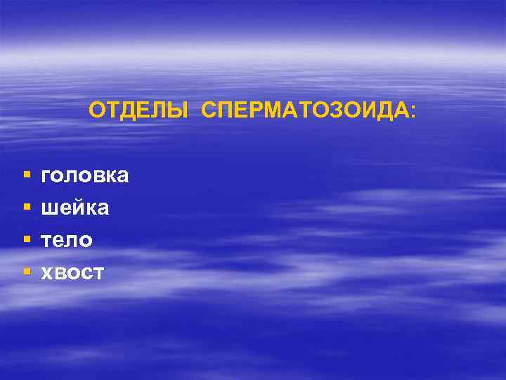 ОТДЕЛЫ СПЕРМАТОЗОИДА: § § головка шейка тело хвост 