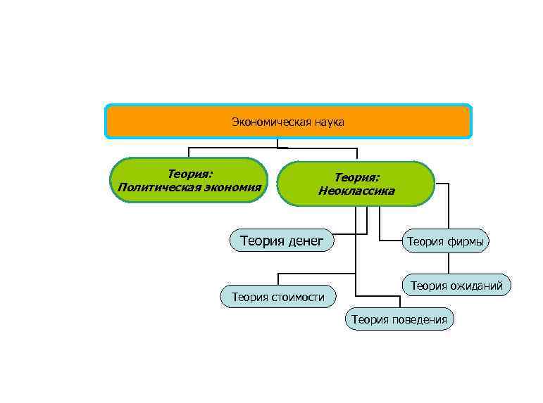 Экономическая наука Теория: Политическая экономия Теория: Неоклассика Теория денег Теория стоимости Теория фирмы Теория