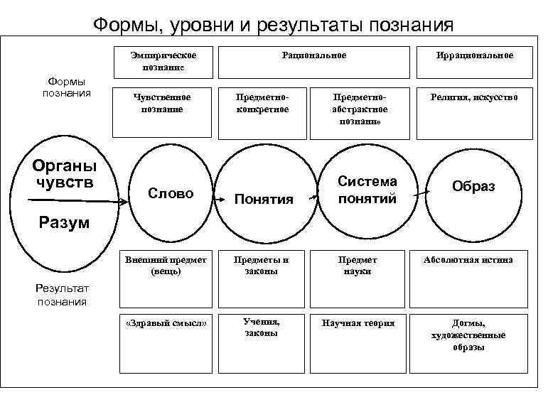 Формы, уровни и результаты познания Эмпирическое познание Формы познания Органы чувств Чувственное познание Рациональное